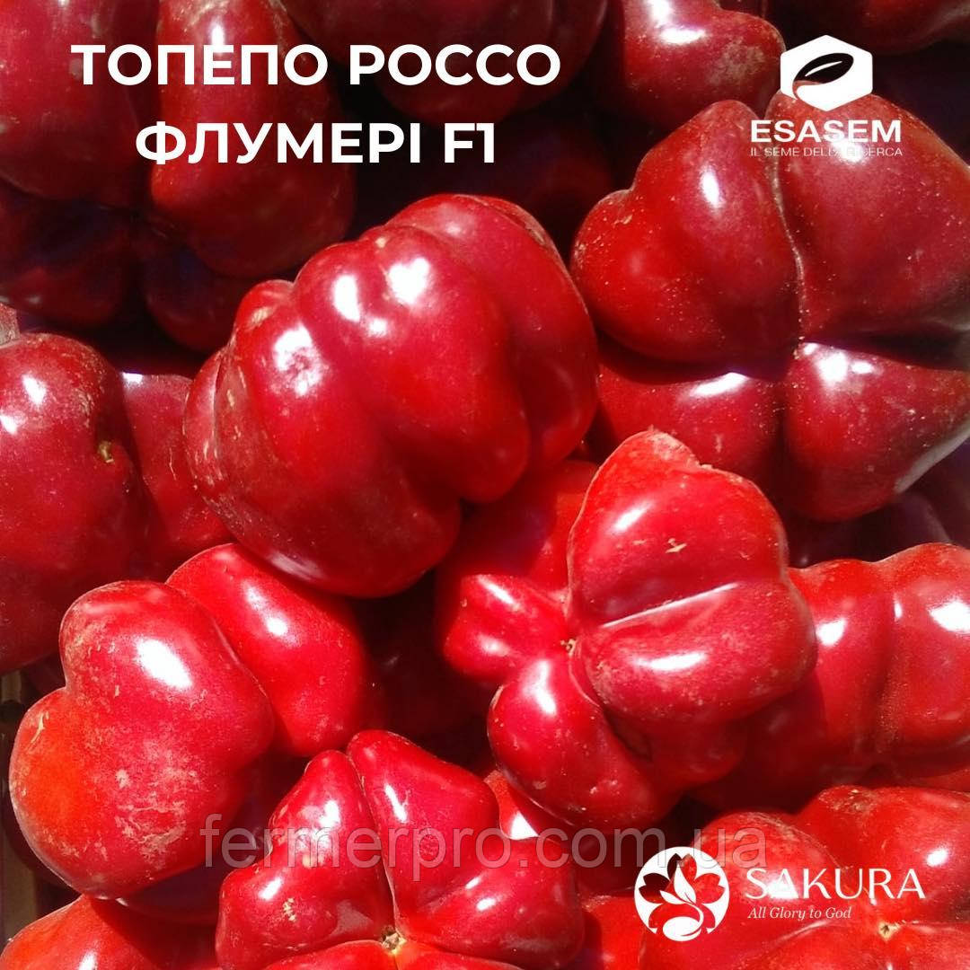 Насіння перцю ротанда Топепо Россо F1 (Флумері), 1000 насіння, Esasem