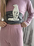 Костюм жіночий для дому Теплий домашній костюм кофта і штани піжама жіноча Fellix, фото 5