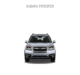 Замок КПШ BEAR LOCK механічний SUBARU Forester 2018+