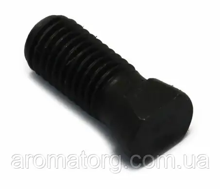 Болт лемеха конический с гайкой (14х36) Vogel & NOOT (LK000009) аналог ...