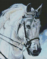 Алмазная живопись Идейка Гордый конь. 40х50