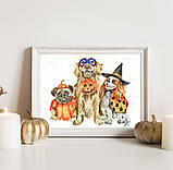 Набір для вишивки від Bothy Threads The Best Treat Of All by Hannah Dale, фото 3