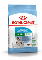Royal Canin (Роял Канин) Mini Starter 1 кг