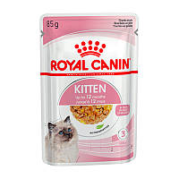 Royal Canin Kitten Intinctive jelly (Роял Канин Киттен Интенсив с желе) для котят с 4 до 12 месяцев 85 г