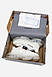Чоловічі Кросівки Balenciaga Triple-S Clear Sole White 41, фото 7