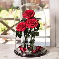 Красные вечные розы в колбе Lerosh, Декоративные 3 розы в колбе