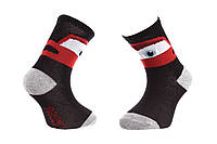 Шкарпетки CARS SOCKS