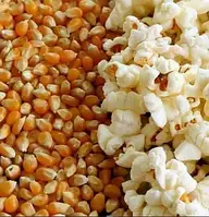 Кукуруза для Попкорна BUTTERFLY (БАБОЧКА) TURKEY. Зерно кукурузы на развес для попкорна. 1 кг. / упаковка