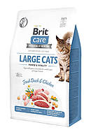 Сухой корм Brit Care Cat GF Large Power & Vitality для кошек больших пород, утка и курица, 400 г