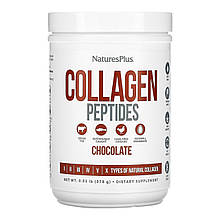 Collagen Peptides - 378g Chocolate