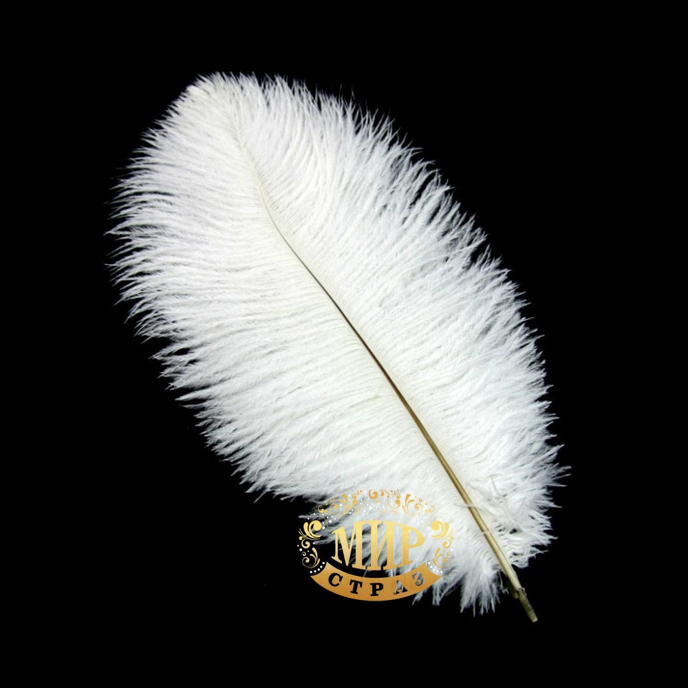 Біле перо страуса, Розмір 20-25 см, 1 шт.