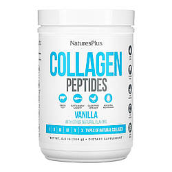 Collagen Peptides - 378g Vanilla