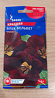 Насіння Настурції Блек Вельвет кущова
