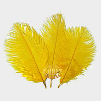 Темно желтое перо страуса, размер 30см*1шт