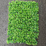 Газон-килимок для штучний фитостен, 40 × 60 см, фото 2