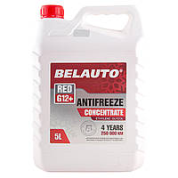 Антифриз BELAUTO RED G12+ (красный, концентрат) 5л