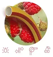 Шланг FRUIT+BERRY Ø 1/2" 20м, 3х сл. (жовтий з червоною смугою) (кратно 20м) {20}