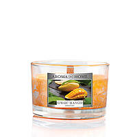 Ароматическая свечка Aroma Home Natural Waxes Candle 115g - MANGO FRUIT