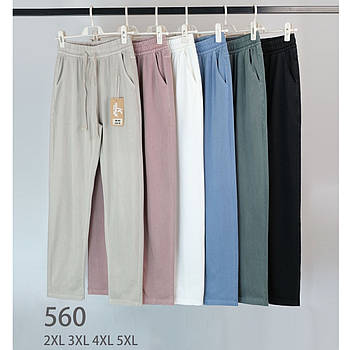 Штани жіночі бавовна кольорові Kenalin, розмір 2XL, асорті, 560