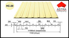 Профнстил НС-20 Астра 0.45 мм Polysteel/PEMA/RAL, фото 3