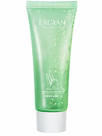 Гель-пенка с алоэ вера и азиатской центеллой Exgyan Aloe Gel Centella Plant Extracts, 40 мл.