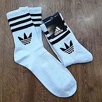 Носки Adidas