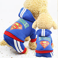 Спортивный костюм для собак «Superman», синий XS