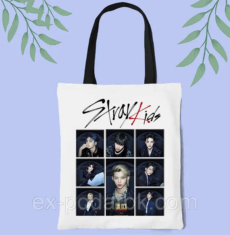 Сумка Стрей Кидс. Сумка Stray kids 12