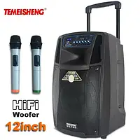 Колонка аккумуляторная Temeisheng SL12-01 USB, Bluetooth, 2 микрофона