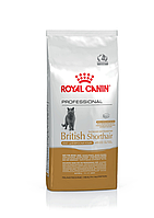 ROYAL CANIN Сухой корм для кошек породы британская короткошерстная British Shorthair Adult 13 кг