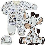 Комбінезон та шапочка Жирафенок 06.01.05, фото 2