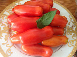 Насіння томату "Дрова" (20 насінин)