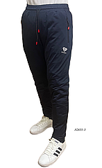Чоловічі спортивні штани з еластику НОРМА A0831-2 весна-осінь. вир-во Китай.