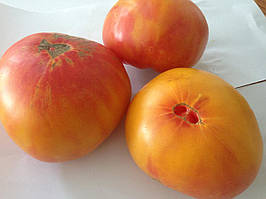 Насіння томату "Велика веселка" (20 насінин)