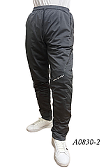 Чоловічі спортивні штани з еластику сiрi НОРМА A0828-3 весна-осінь. вир-во Китай.