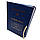 Папка "Особова справа" осіб молод. та стар. офіцерського складу, із тисненням "під золото", без клапанів, 20 мм (бумвініл), фото 2