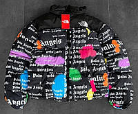 Куртка зимняя в стиле The North Face колаба Palm Angels черная