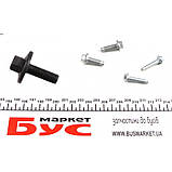 Ланцюг приводу ГРМ (к-кт) Kangoo/Megane III/Scenic III/IV 1.2/1.4TCe 09-, фото 2