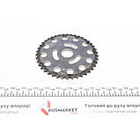 Ланцюг приводу ГРМ (к-кт) Renault Master III/Opel Movano 2.3dCi 14-, фото 3