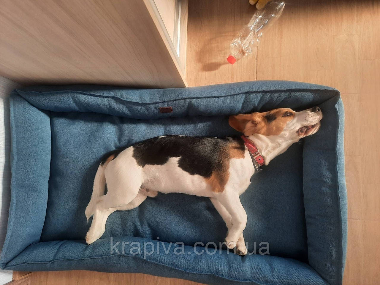 Лежанка для собаки, кота, лежак для собаки, кота, спальне місце МЕБЛЕВА ЗНОСОСТІЙКА ТКАНИНА