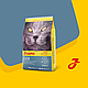 Сухий корм Josera Leger для кастрованих і малоактивних котів, домашня птиця 400 гр, фото 9