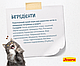 Сухий корм Josera Leger для кастрованих і малоактивних котів, домашня птиця 400 гр, фото 7