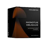 Чага (Inonotus Obliqus) Fera Genetics, 60 капсул, фото 2