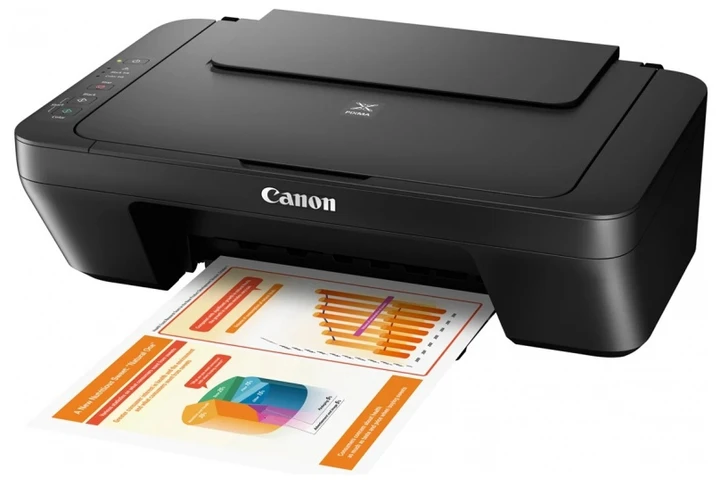 Принтер цветной для дома Canon PIXMA MG2555S копир для дома (Принтеры и МФУ) - фото 3 - id-p2091175957