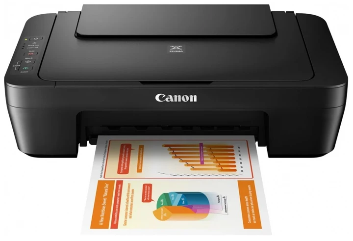 Принтер цветной для дома Canon PIXMA MG2555S копир для дома (Принтеры и МФУ) - фото 4 - id-p2091175957