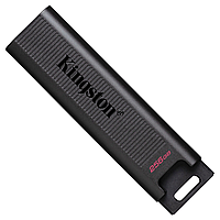 KINGSTON DTMAX/256GB