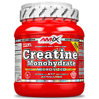 AMIX CREATINE MONOHYDRATE 500 g