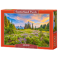 Пазл "Утренние цветы", 2000 элементов Castorland (5904438200863)