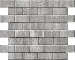 Бруківка 200х100х40 с