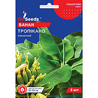 Насіння Банан Тропікано GL Seeds 3шт (collection1357)